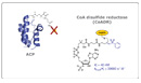 inhibitors of cofactor utilization