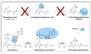 pathway inhibitors