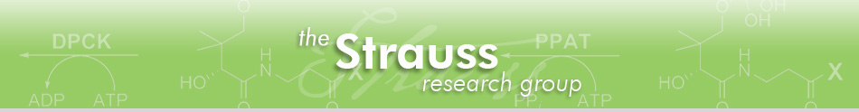 The Strauss Research Group