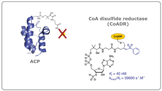 inhibitors of cofactor utilization