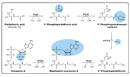 pathway elucidation