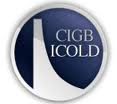 ICOLD logo