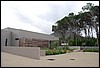 DSC_0239.jpg