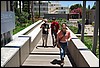 DSC_0336.jpg