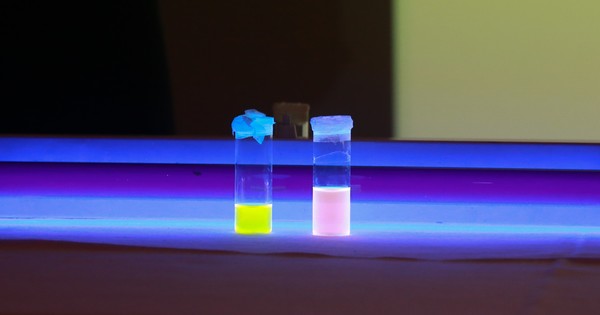 ALC_2013-082.jpg