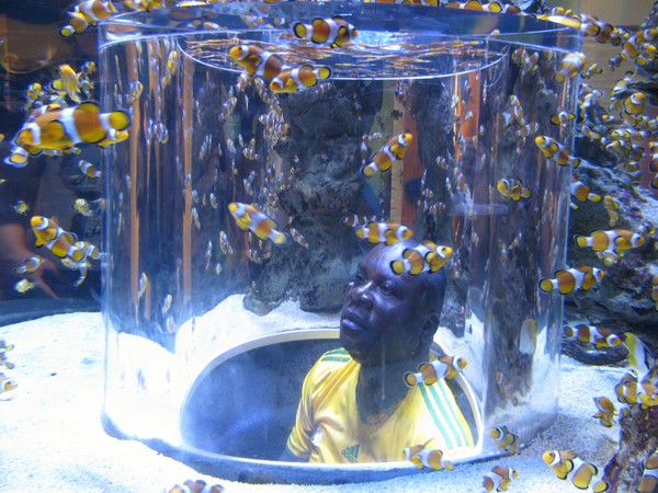 ALC_2013-050.JPG