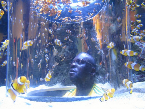 ALC_2013-051.JPG