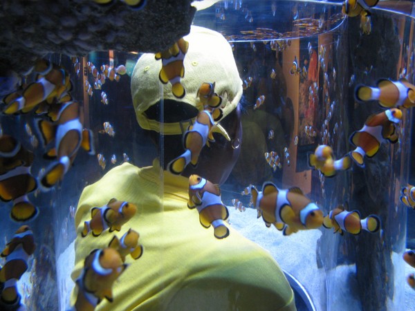 ALC_2013-053.JPG