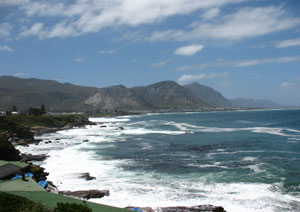 Hermanus