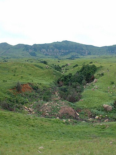 DSCF0175.JPG
