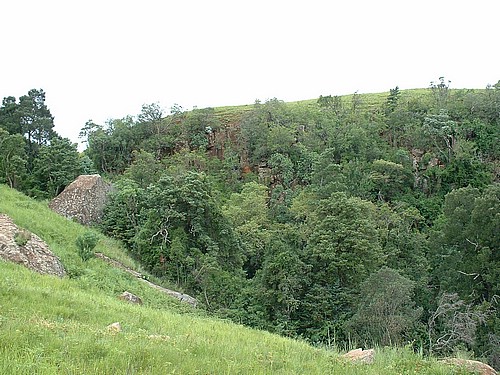 DSCF0177.JPG
