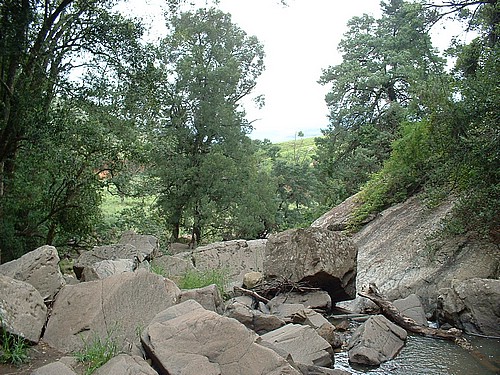 DSCF0179.JPG