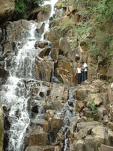 DSCF0184.JPG
