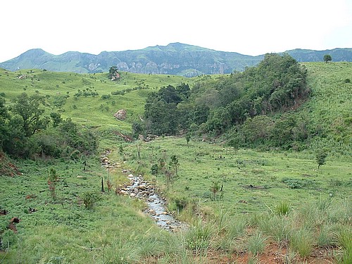 DSCF0186.JPG
