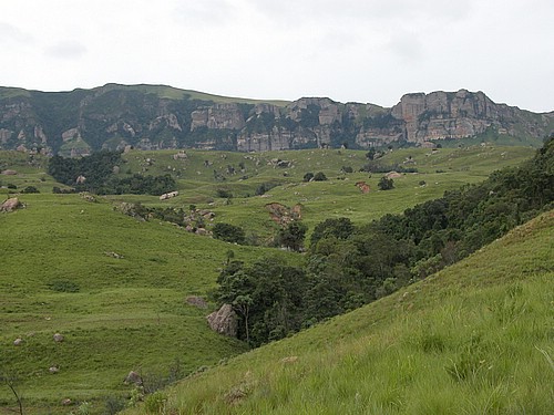 DSCN0143.JPG