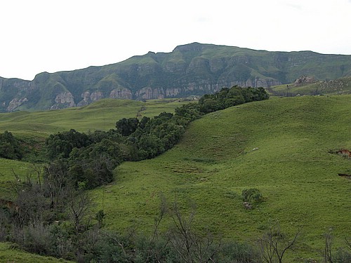 DSCN0144.JPG
