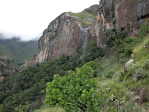 DSCN0160.JPG