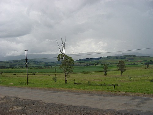 STB_0027.JPG