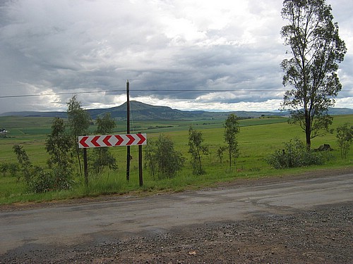 STD_0029.JPG