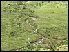 DSC00179.JPG