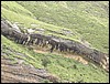 DSC00188.JPG