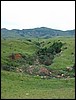DSCF0175.JPG
