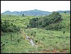 DSCF0186.JPG