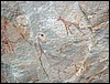 DSCF0194.JPG