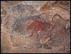 DSCF0197.JPG