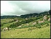 DSCF0198.JPG