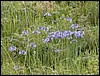 DSCN0149.JPG