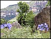 DSCN0150.JPG
