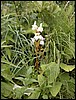 DSCN0154.JPG