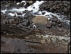 DSCN0165.JPG