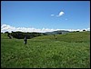 IMG_0075.JPG