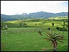 IMG_4a.JPG