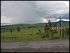 STC_0028.JPG