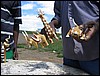 IMG_0209.JPG