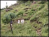 DSCN0151.JPG