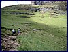 IMGP0742.JPG