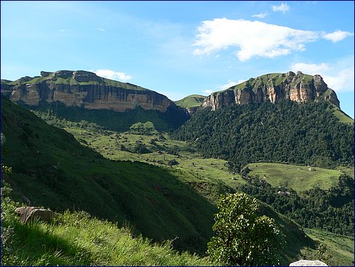 P1010920.JPG