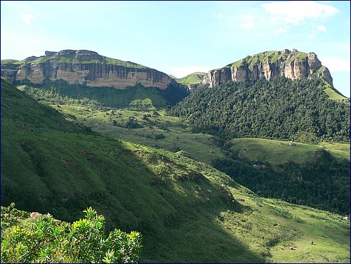 P1010922.JPG