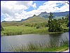 IMG_0102.JPG