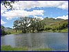 IMG_0103.JPG
