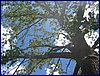 IMG_0113.JPG
