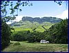 IMG_0125.JPG