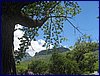 IMG_0133.JPG