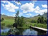 IMG_0139.JPG