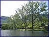 IMG_0150.JPG
