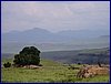 P1200047.JPG